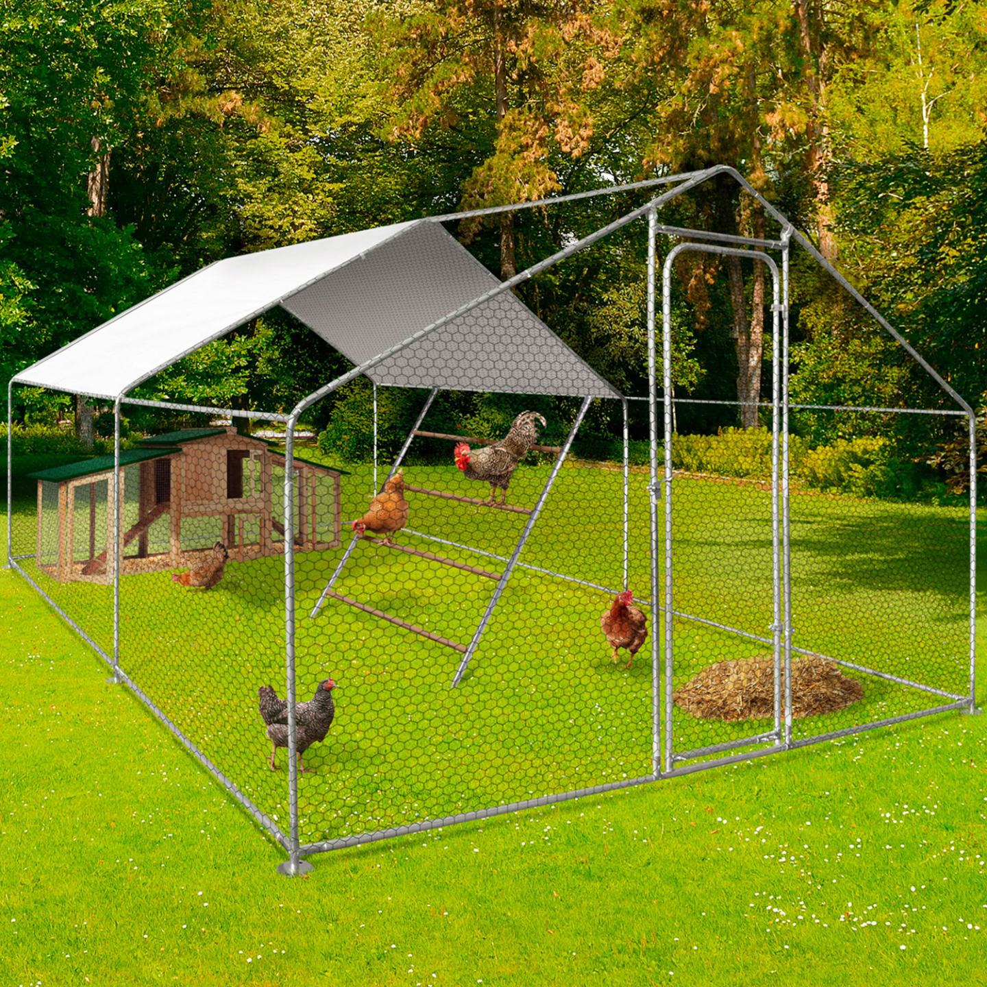 Posatoio Per Galline In Legno Massello Con Scala Multi-Livello – Giocattolo Per Pollaio, Antiscivolo E Senza Schegge, Per Esercizio E Divertimento Delle Tue Galline