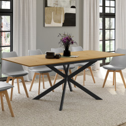 Tavolo da pranzo rettangolare allungabile 6-10 persone in legno e nero 160-200cm - INES | ID Market