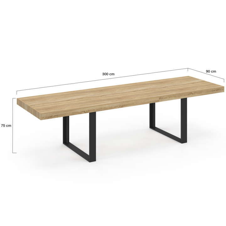 Tavolo da pranzo rettangolare per 12 persone, legno e nero 300 cm - PHOENIX | IdMarket