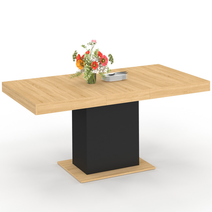 Tavolo da pranzo rettangolare allungabile 4-6 persone, legno e nero 120-160 cm - EDEN | IdMarket