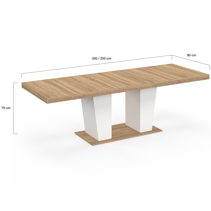 Tavolo da pranzo rettangolare allungabile 8-12 persone, legno e bianco 200-250 cm - ELIAD | IdMarket