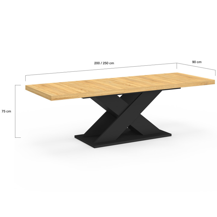 Tavolo da pranzo rettangolare allungabile ALICIA 8-12 persone legno e nero 200-250 cm