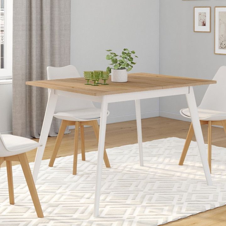 Tavolo scandinavo in legno allungabile per 8 persone | ID Market