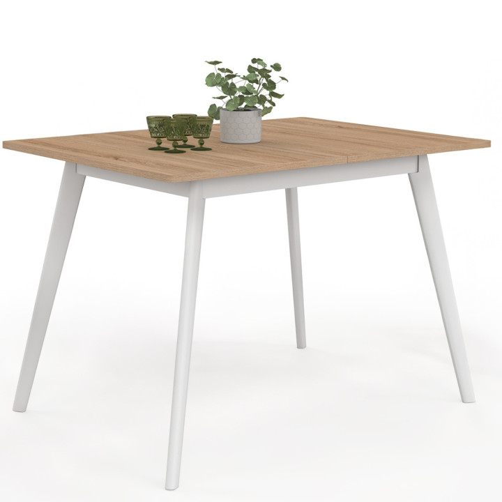 Tavolo scandinavo in legno allungabile per 8 persone | ID Market