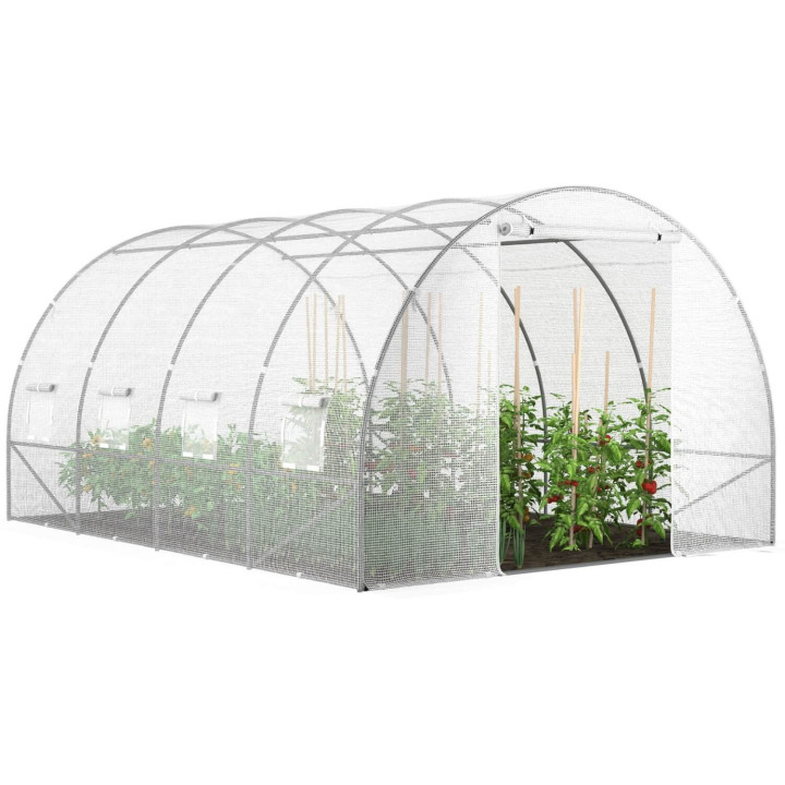Serra da giardino 12m2 economica 3x4 m