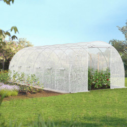 Serra da giardino economica 6x3m