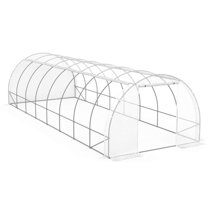Serra a tunnel da giardino 24 m² economica con telone bianco