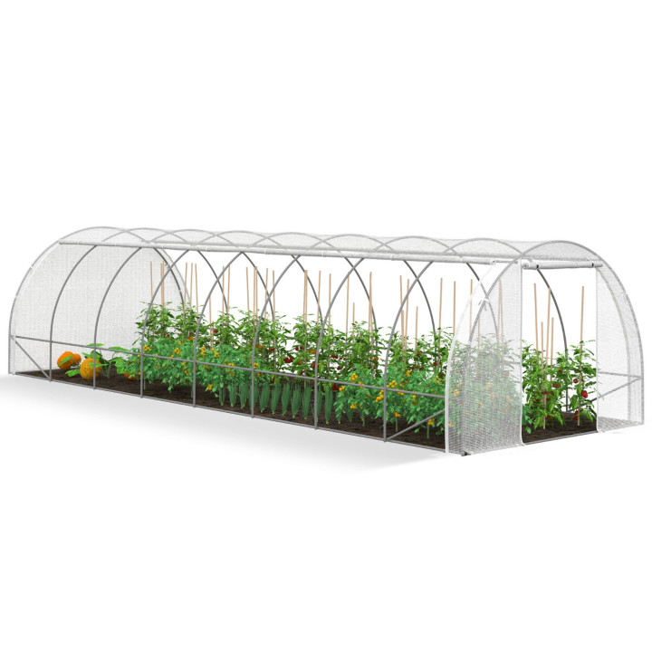 Serra a tunnel da giardino 24 m² economica con telone bianco