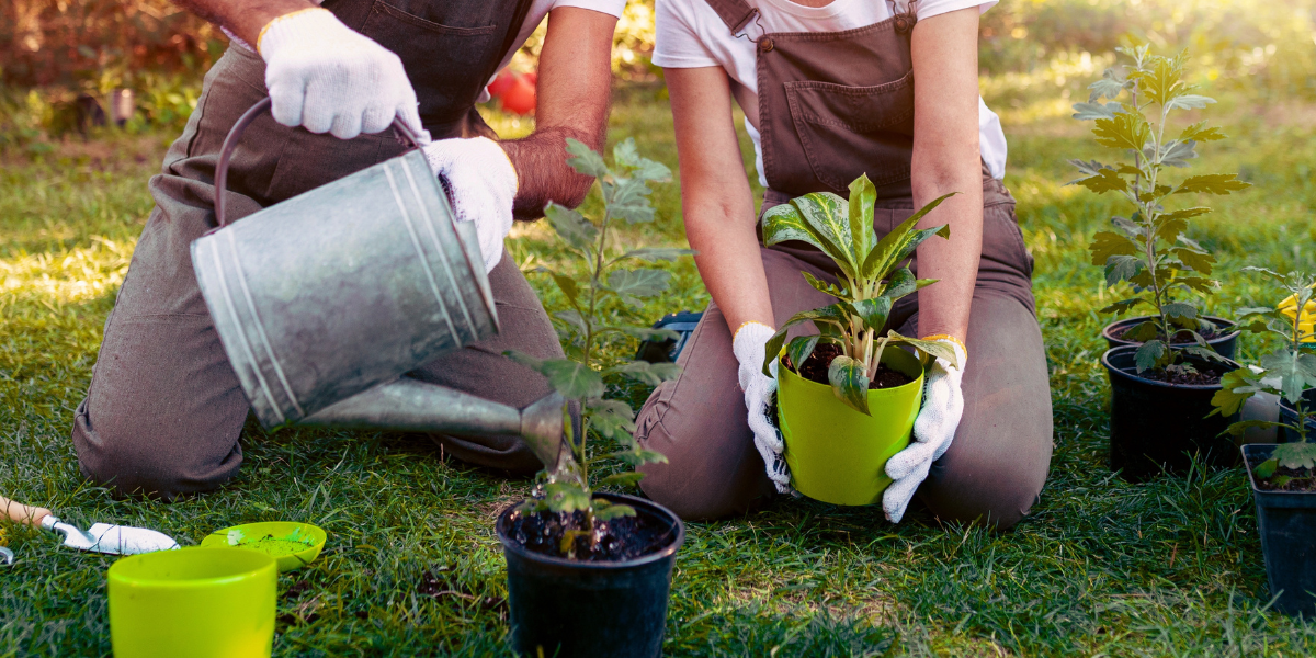 Le matériel de jardin essentiel pour bien préparer le printemps