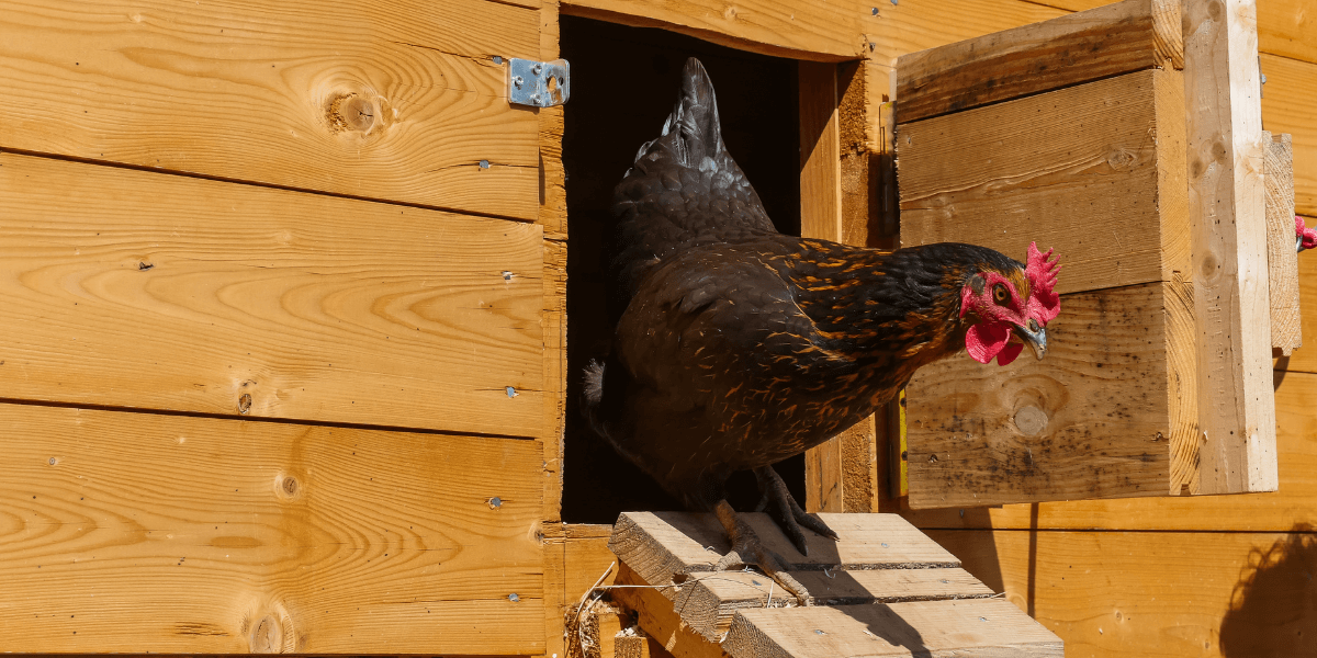 Scegliere il filo di ferro giusto per la massima protezione!