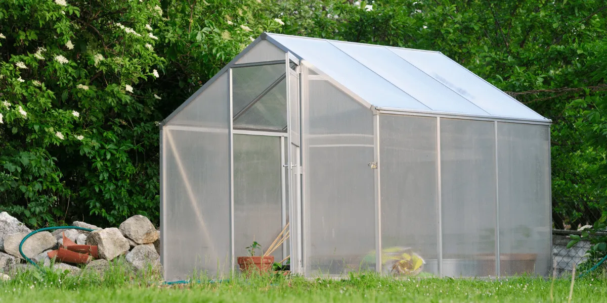 Coltivazione in serra: domande da porsi prima di fare il grande passo
