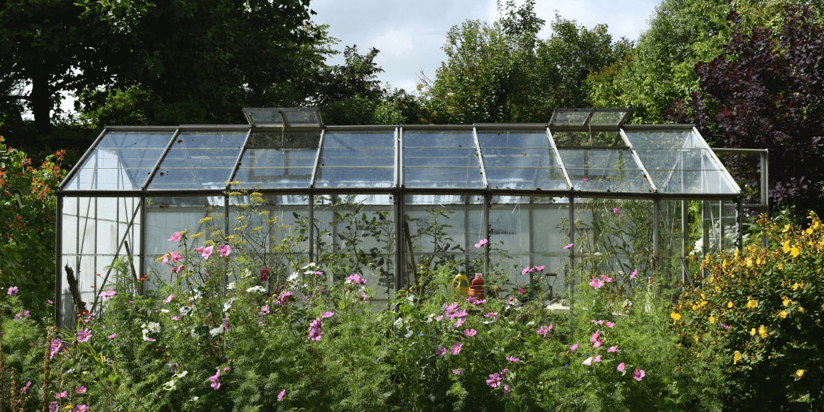 Tipi di materiali per le serre da giardino