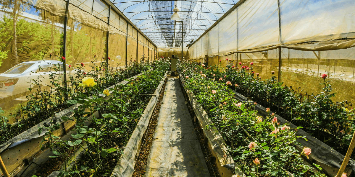 Serra in plastica PVC