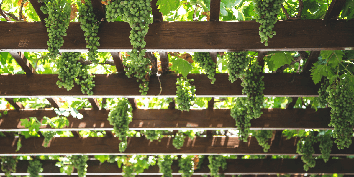 Scegliere una pergola a lamelle orientabili