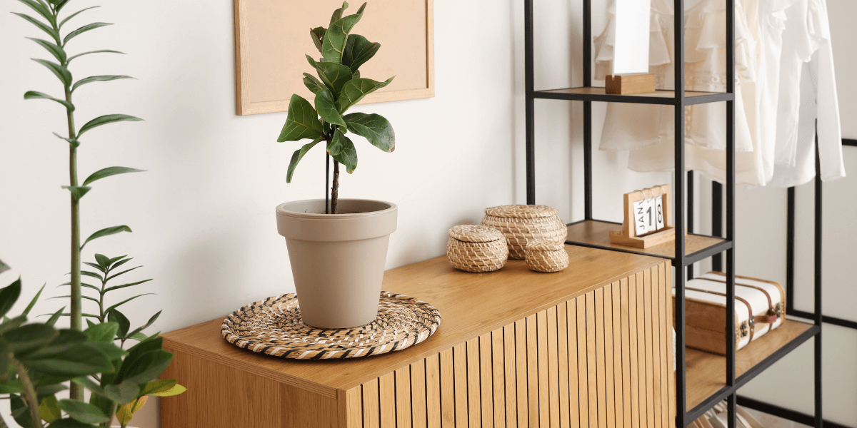 Come scegliere una credenza in legno?