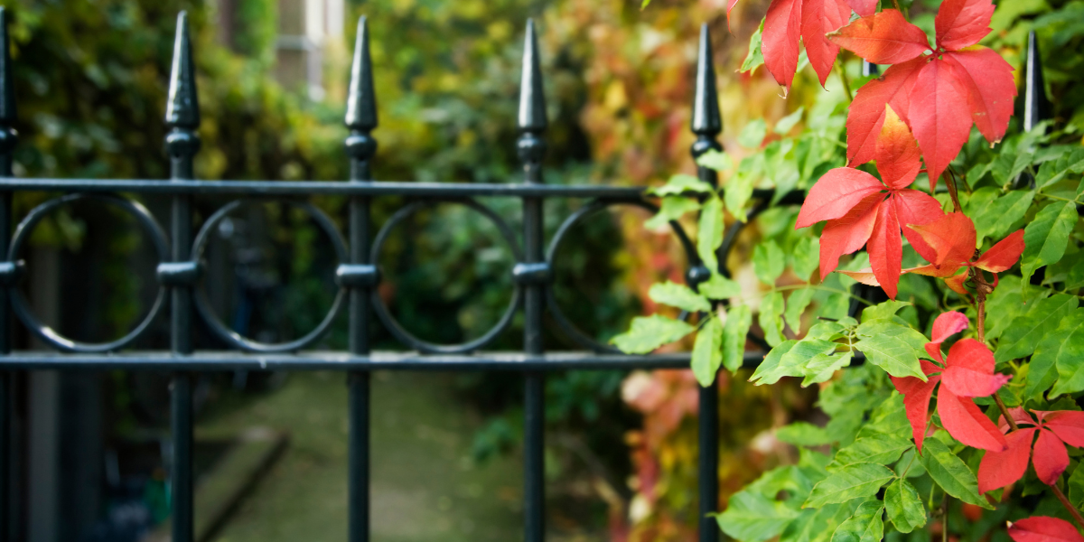 Qual è la dimensione standard del cancello?