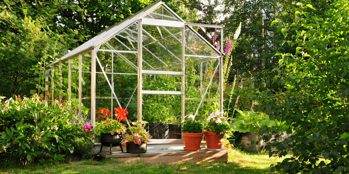 Quale frutta e verdura piantare a settembre?