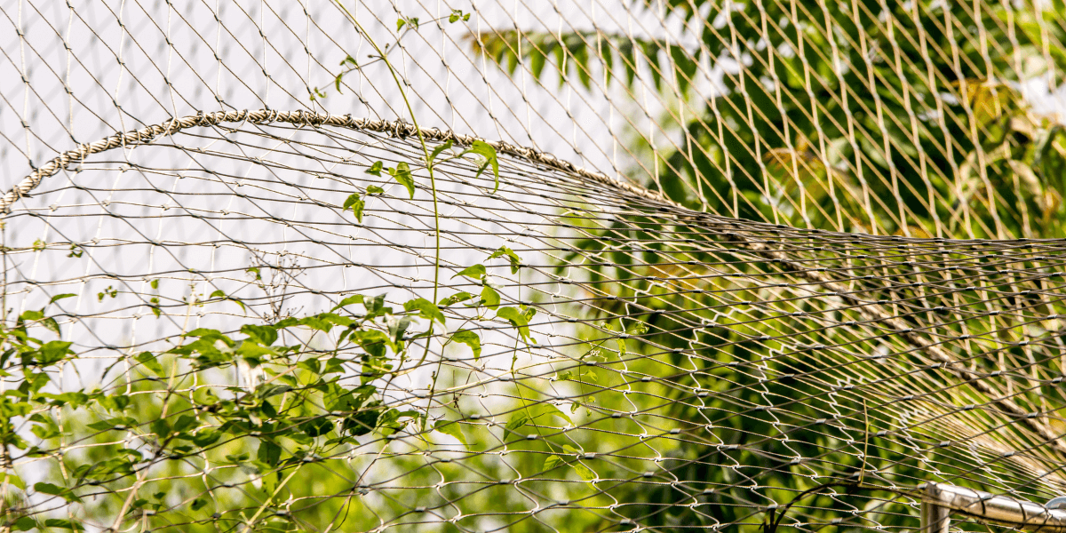 I nostri consigli su recinti e voliere da giardino