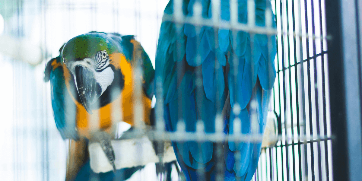 I nostri consigli per scegliere e personalizzare una copertura per esterni