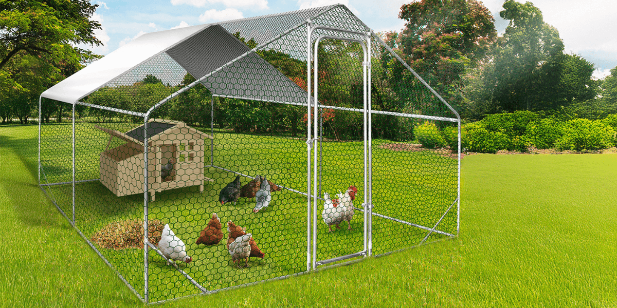 Cosa mettere sul pavimento di un pollaio all'aperto?