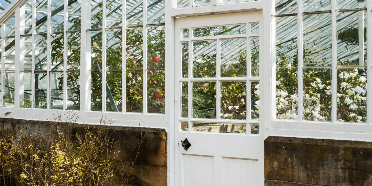 Come si innaffia una serra in inverno?