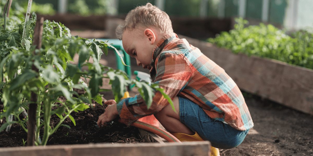 Come posso mantenere la mia serra libera dagli afidi?