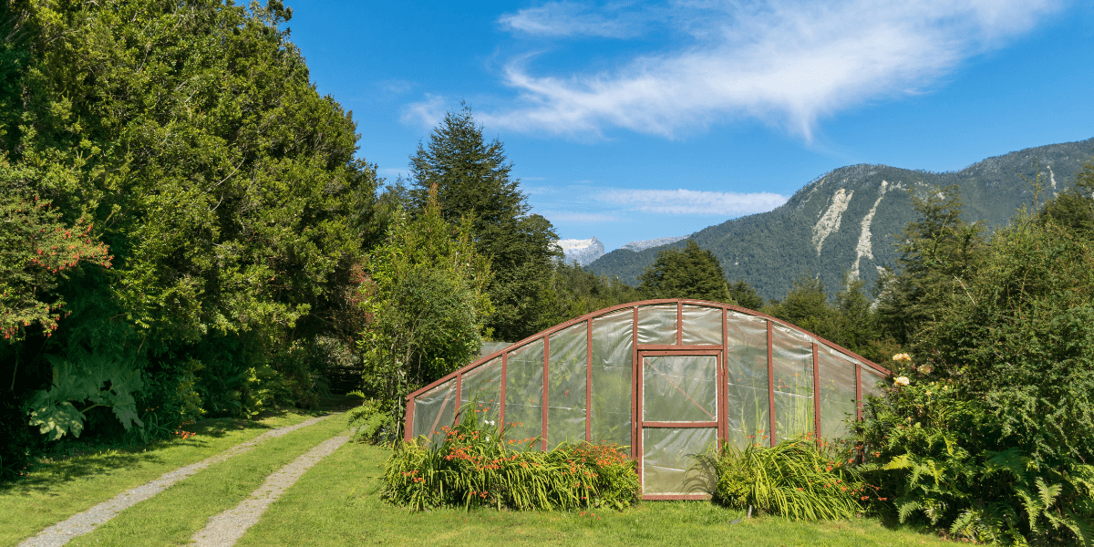 Quale larghezza di serra scegliere?