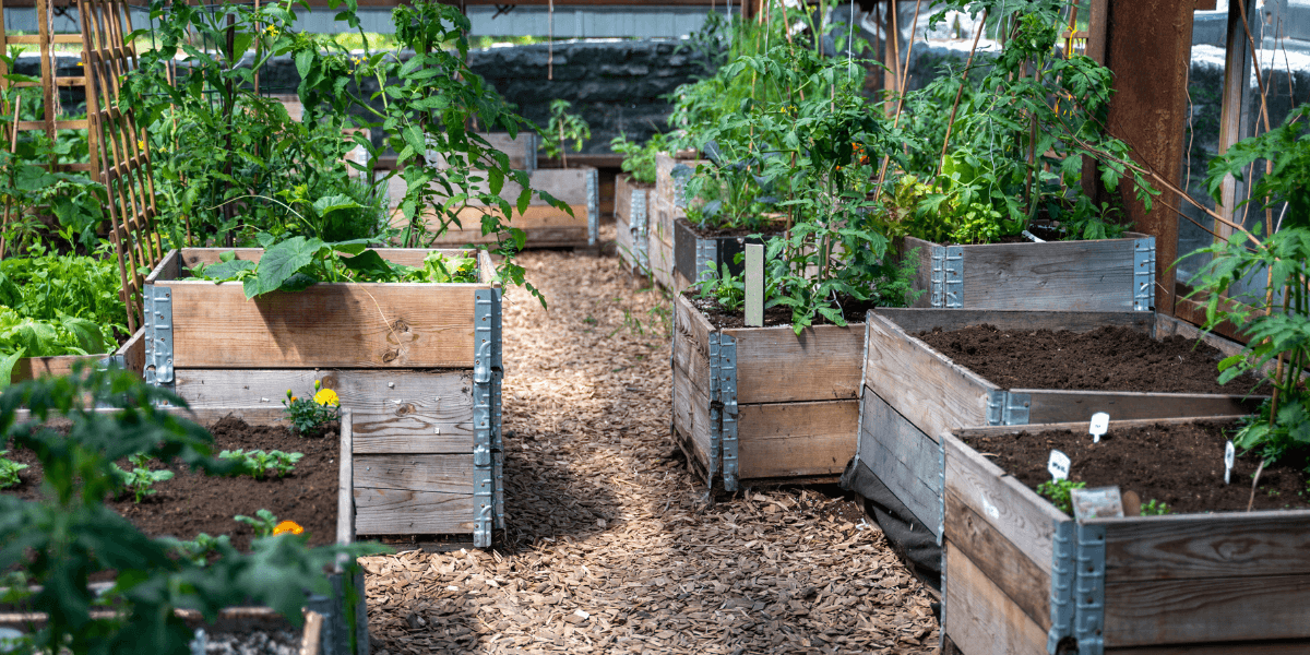 Dove posizionare la serra in giardino?