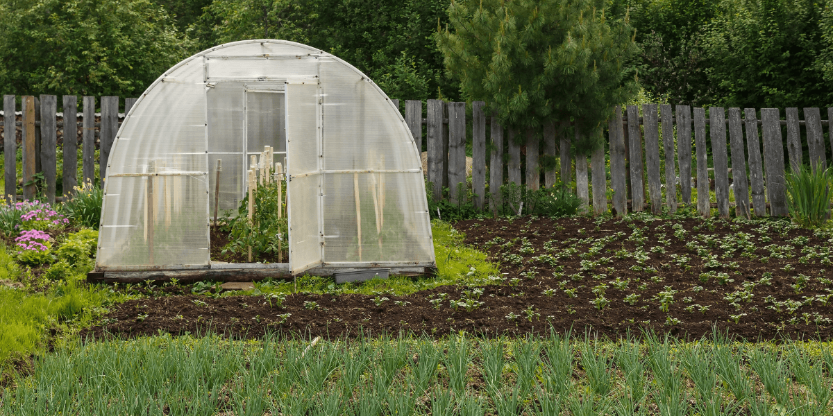 Come si pulisce una serra da giardino?