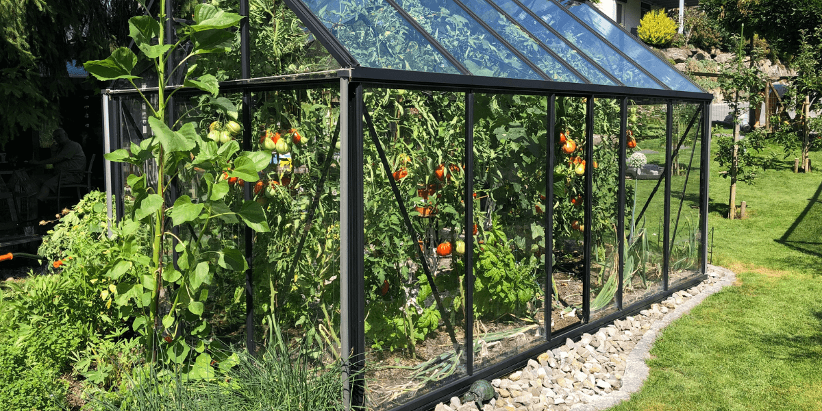 Ho bisogno di un permesso di costruzione per una serra?