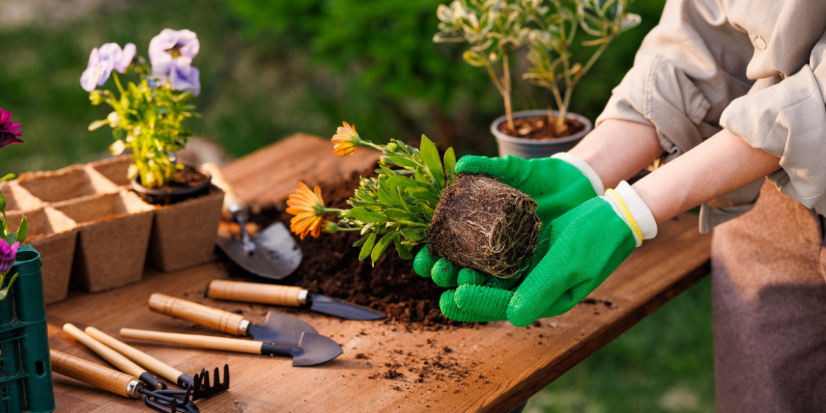 Comment créer un espace dédié au jardinage ?