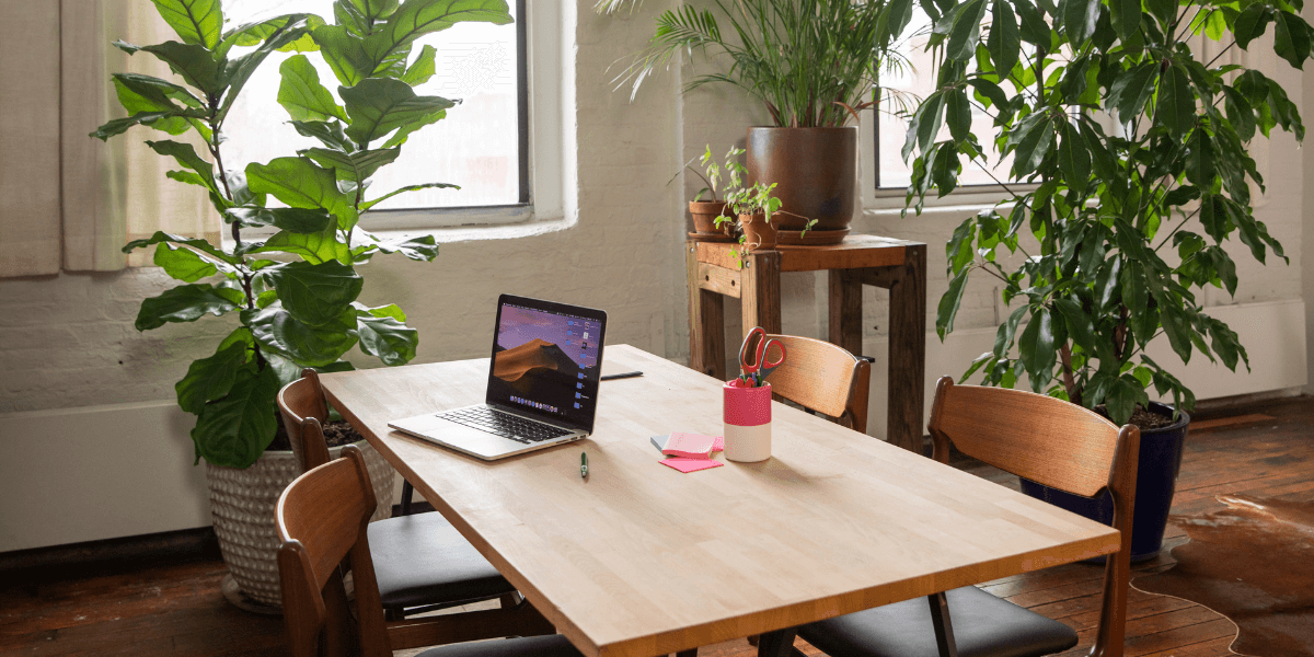 Quali sedie abbinare a un tavolo in legno scuro?