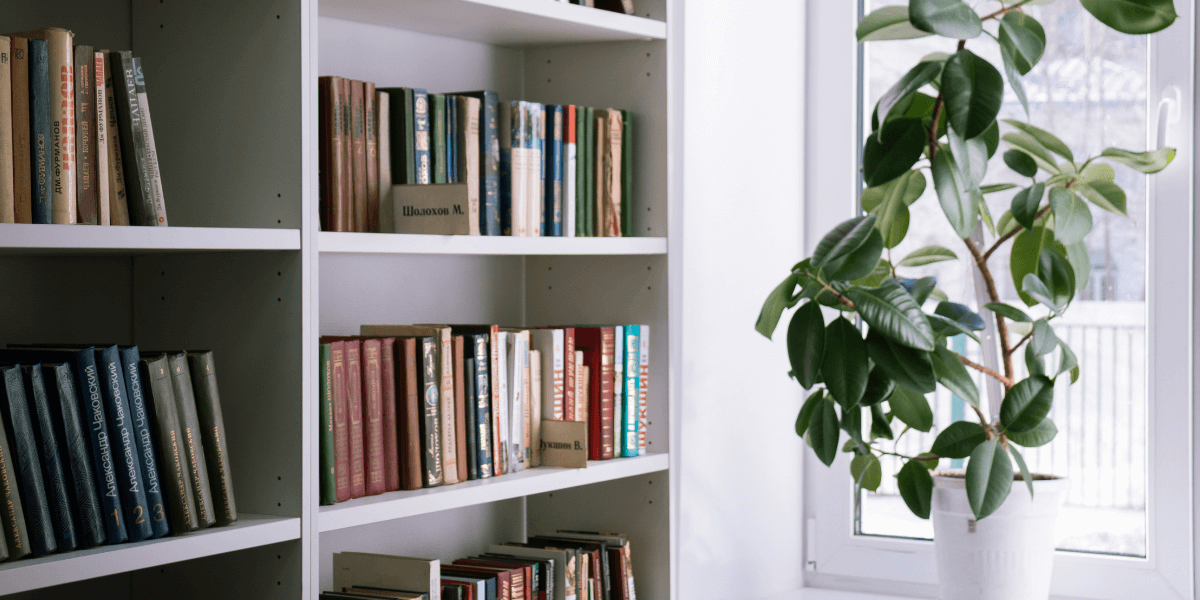 I nostri consigli per la scelta della biblioteca